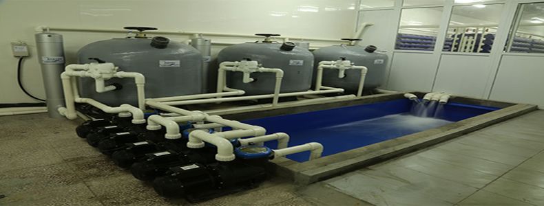 循環(huán)水泡沫怎么去除，循環(huán)水泡沫用什么消泡劑