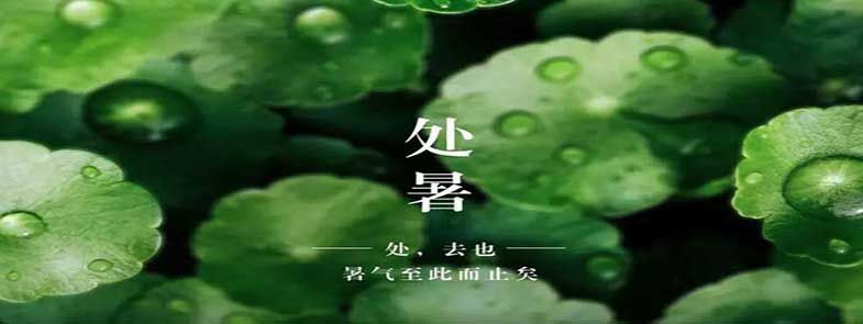 天上雙星合，人間處暑秋