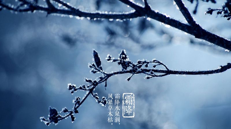 霜降碧天靜，秋事促西風(fēng)