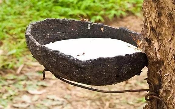 天然乳膠泡沫多是什么原因，有什么危害？
