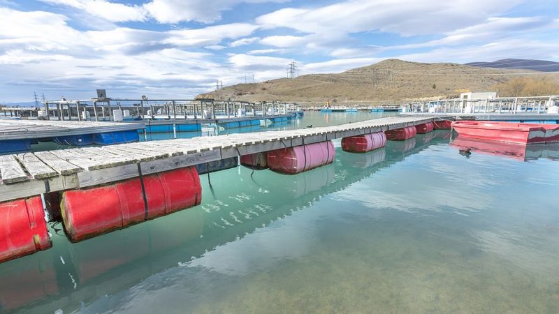 污水起泡沫，用什么方法去除泡沫？