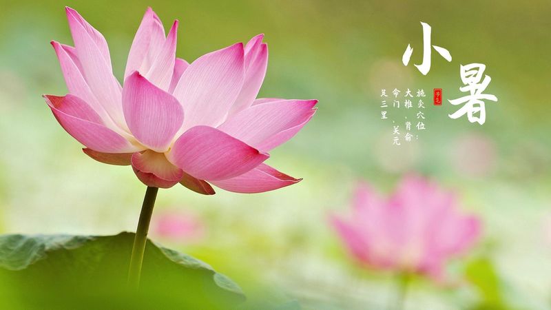 溫風(fēng)至，小暑到