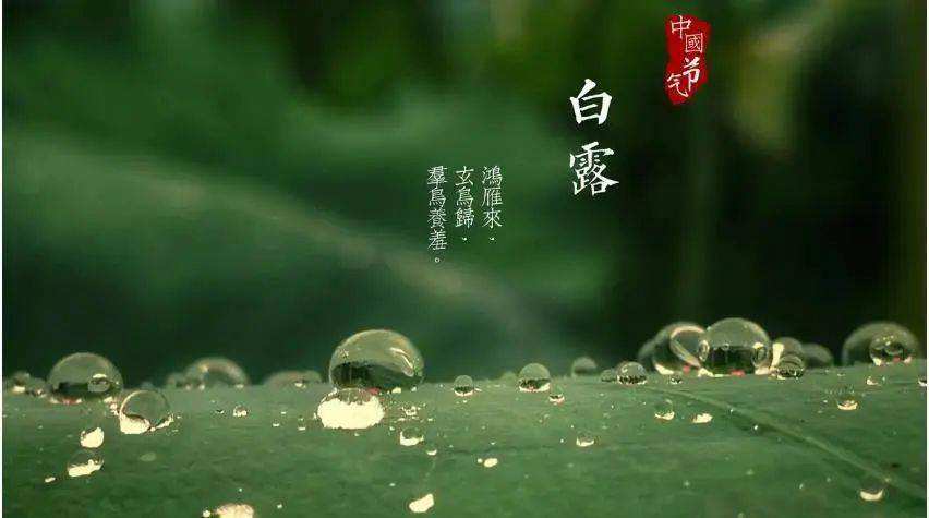清風(fēng)至，白露生