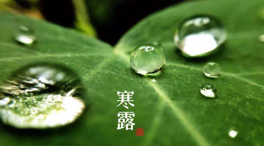 凝露成霜，寒意愈盛