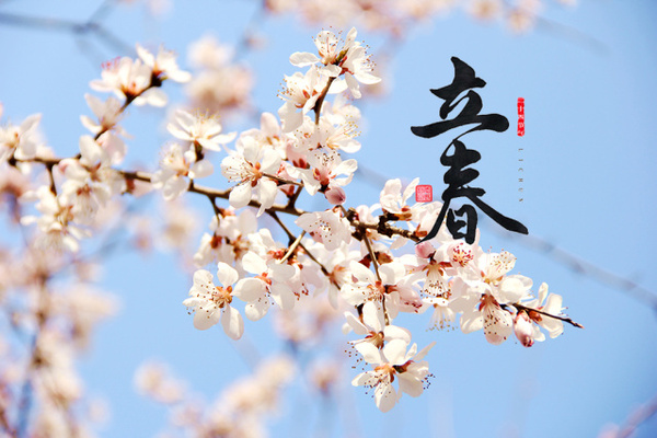 今年迎氣始，昨夜伴春回