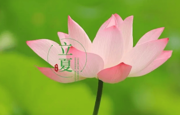 日斜湯沐罷，熟練試單衣